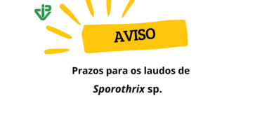 Laudos de Sporothrix