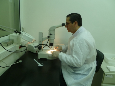 Dr. Julio Rosa realizando a identificação de quirópteros no Instituto Pasteur