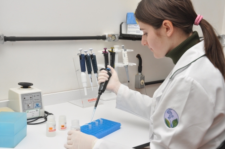 Podem se candidatar estudantes de qualquer semestre