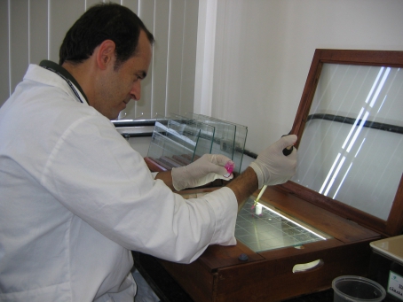 Mudanças no laboratório fazem parte de processo para acreditação junto ao Inmetro