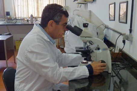 Artigo apresenta resultado de mais de uma década de estudos da Fepagro com mais quatro instituições