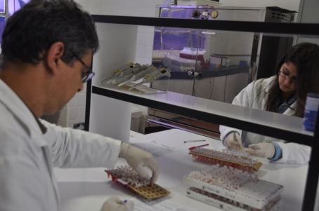 Dois pesquisadores analisando amostras no laboratório de virologia