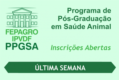 Montagem com informações sobre a inscrição
