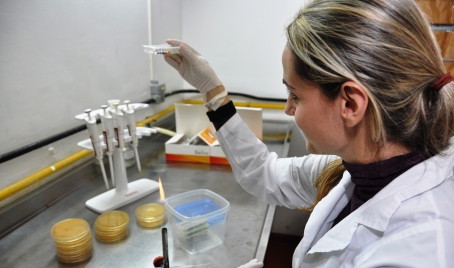 Bolsista manipula amostra em laboratório