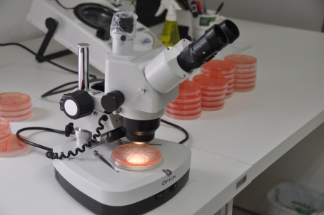 foto de um microscópio