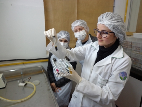 alunos fazem experiências práticas com tubos de ensaio