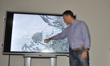palestrante mostra doença em tela de power point