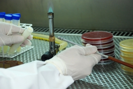 Estudo de aluna da UFSM foi realizado no Laboratório de Saúde das Aves
