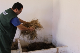 Homem separando resíduos orgânicos