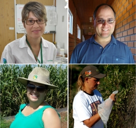 Montagem com fotos dos quatro novos pesquisadores